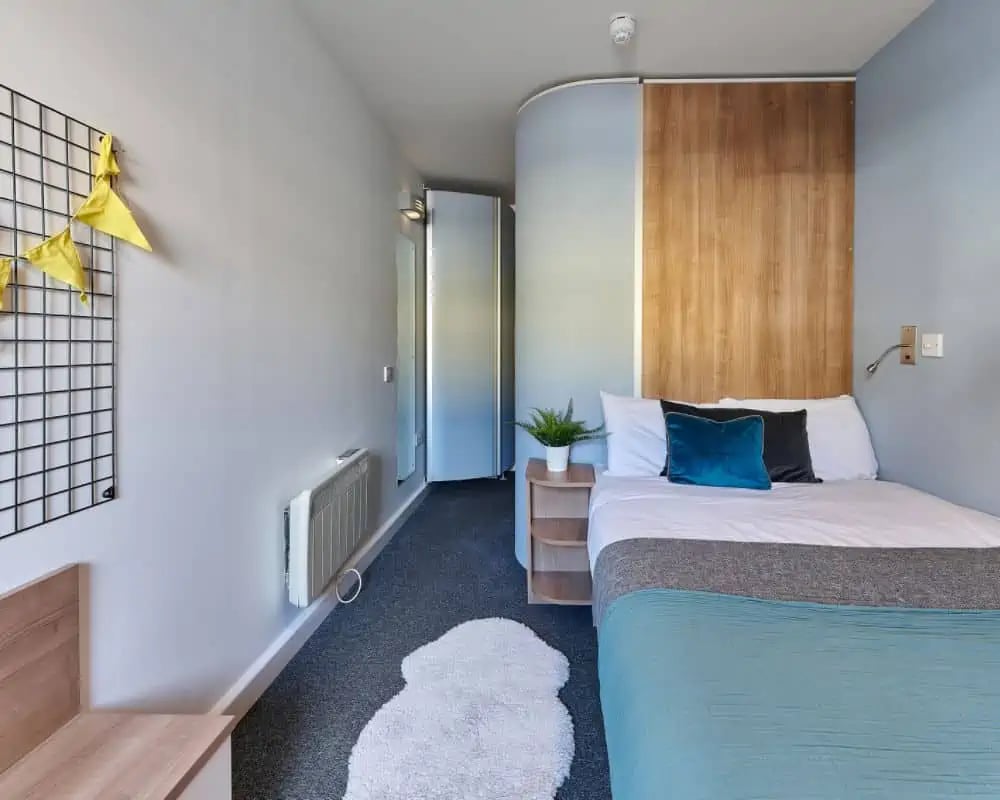 Bed with pillows bedside table plant and rug bedroom at Exeter Trust House in Exeter Student Accommodation