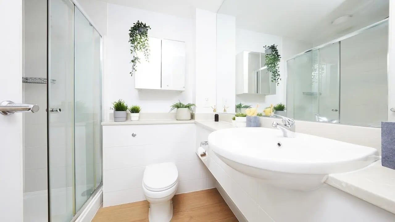 Sink toilet shower plants medicine cabinet bathroom at Collegiate Middle Street in Portsmouth Student Accommodation