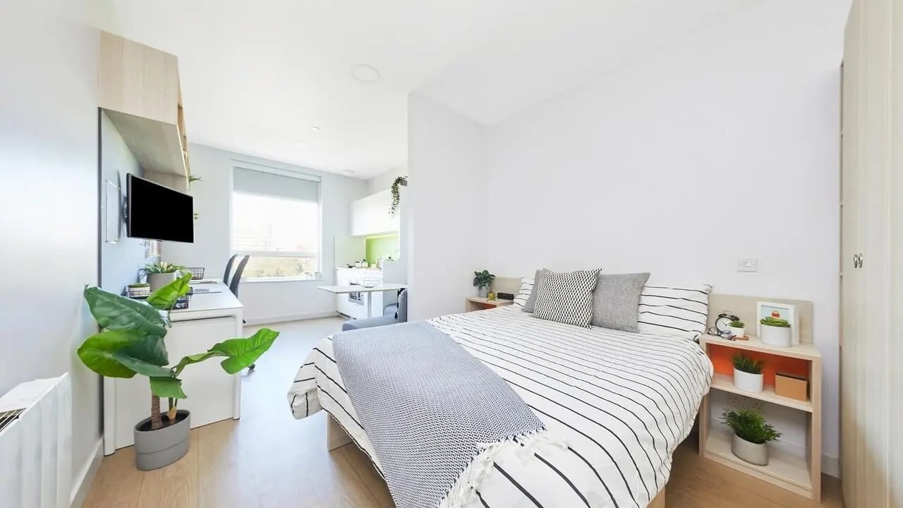 Bed desk plants and TV study bedroom at Collegiate Middle Street in Portsmouth Student Accommodation