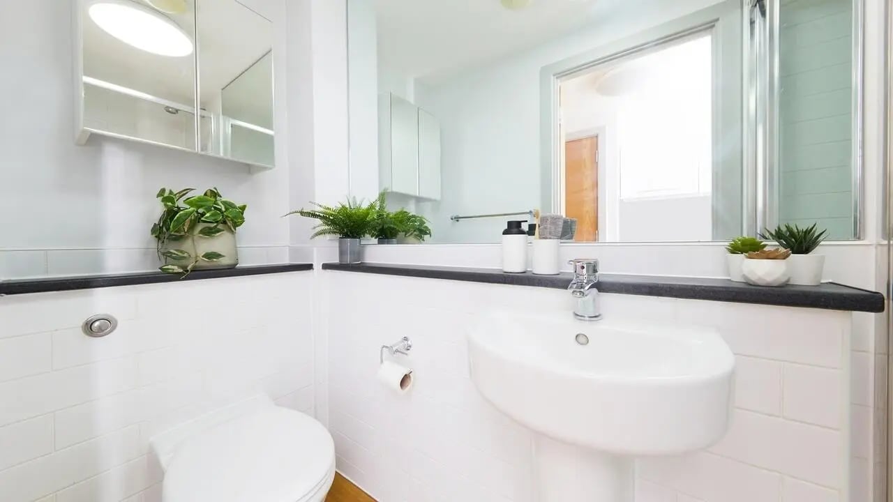 Toilet sink mirrored cabinet plants bathroom at Collegiate Earlsdon Street in Portsmouth Student Accommodation