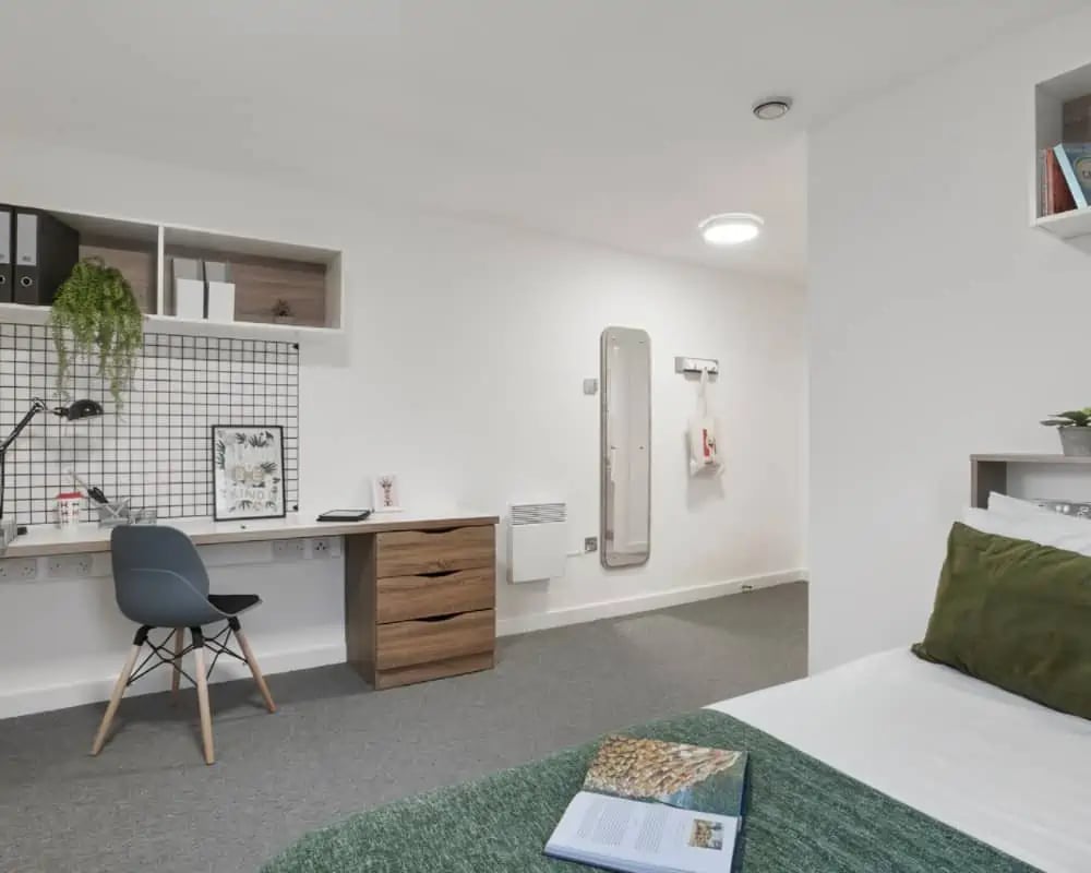 Desk chair shelves and plant study area at Sky Blue Point in Coventry Student Accommodation