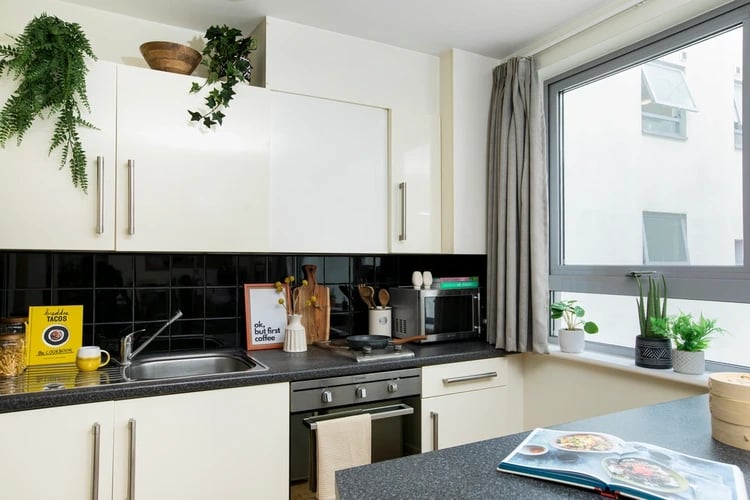 Cabinets sink microwave oven plants kitchen at Moonraker Point in London Student Accommodation