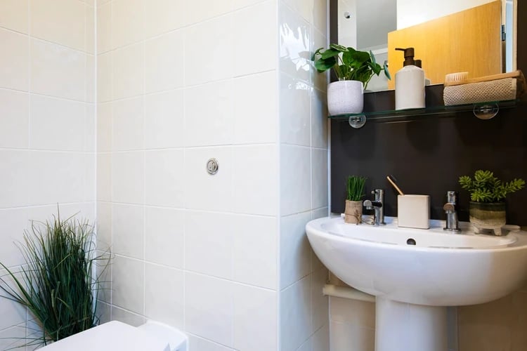 Sink plants soap dispenser and toilet bathroom at Cambrian Point in Cardiff Student Accommodation