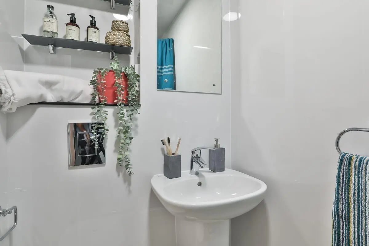Sink soap dispenser toothbrushes towels plant bathroom at 140 New Walk Leicester in Leicester Student Accommodation
