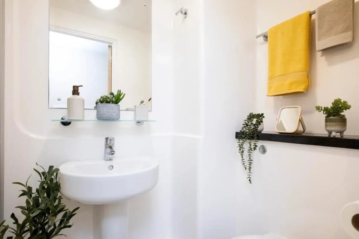 Sink mirror soap dispenser towels and plants bathroom at Thurso Street in Glasgow Student Accommodation