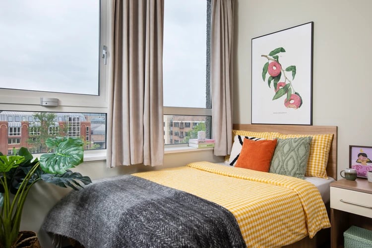 Bed with yellow gingham bedding plant artwork and window bedroom at Favell House in Bristol Student Accommodation