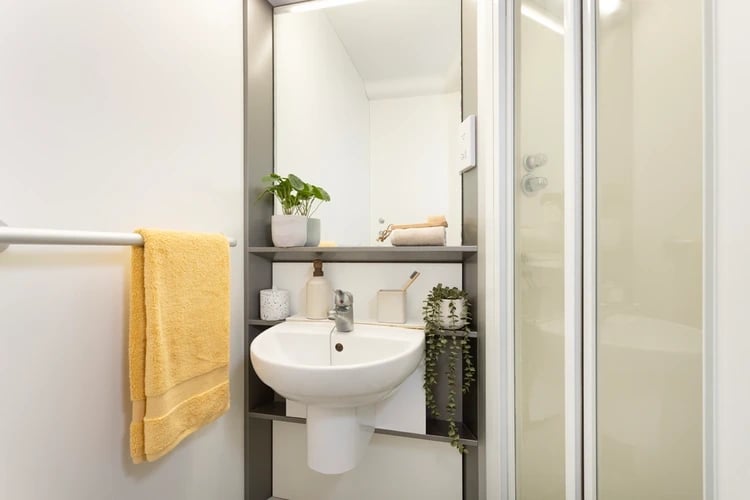Sink plants soap dispenser shower and yellow towel bathroom at Chalmers Street in Edinburgh Student Accommodation