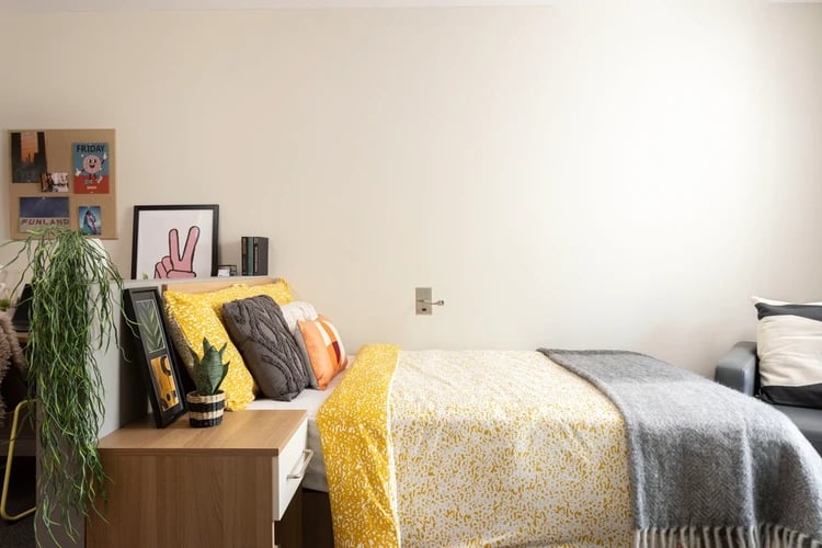Bed pillows artwork plant bedside table bedroom at Chalmers Street in Edinburgh Student Accommodation