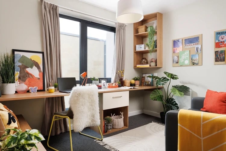 Desk with laptop plant and shelving study area at Chalmers Street in Edinburgh Student Accommodation