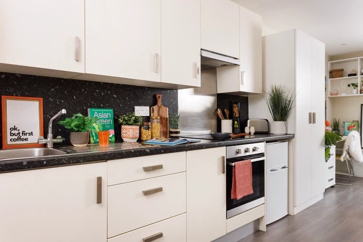 Countertop sink cabinets appliances plants and framed art kitchen at The Old Printworks in Edinburgh Student Accommodation