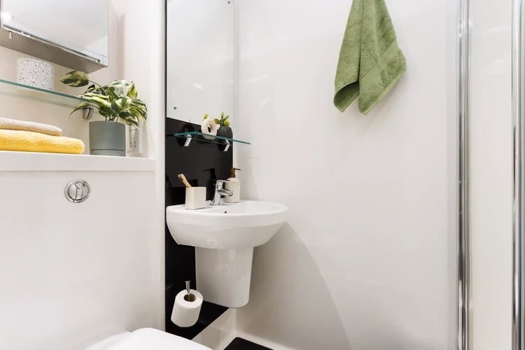 Sink toilet towels and plant Bathroom at The Old Printworks in Edinburgh Student Accommodation