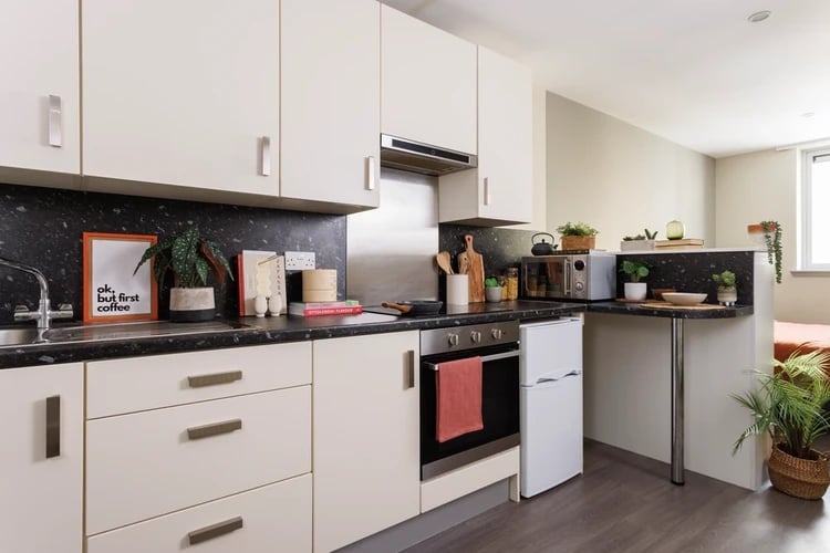 Kitchen with appliances counter sink and cabinets kitchen at The Old Printworks in Edinburgh Student Accommodation