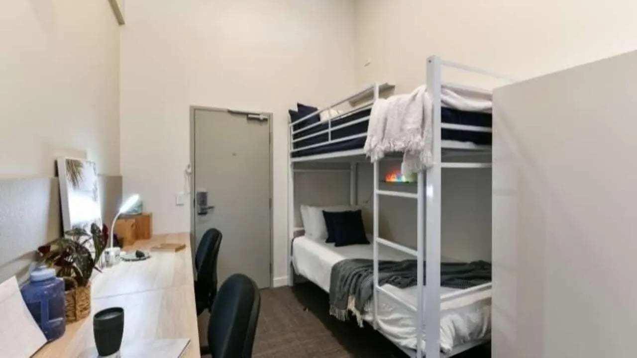 Bunk beds desks chairs and plants bedroom at Chapter London Bridge in London Student Accommodation