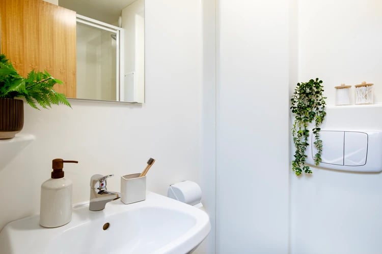 Sink soap dispenser toothbrush and toilet flush Bathroom at Beaumont Court in London Student Accommodation