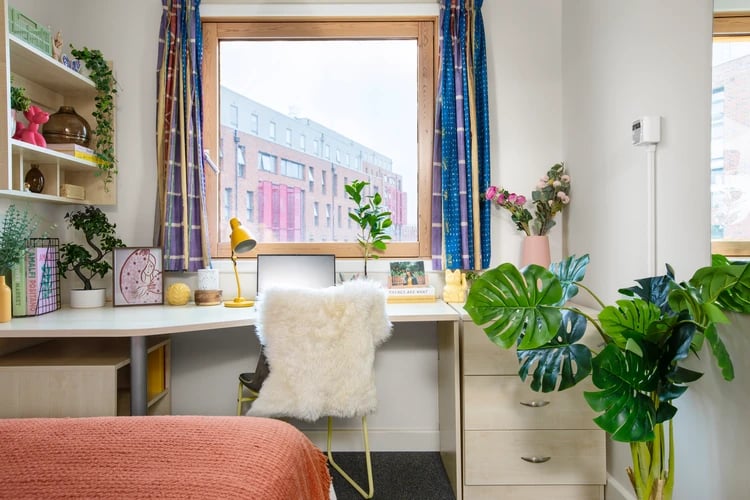 Desk lamp, chair, plants, shelving, window Study area at Beaumont Court in London Student Accommodation