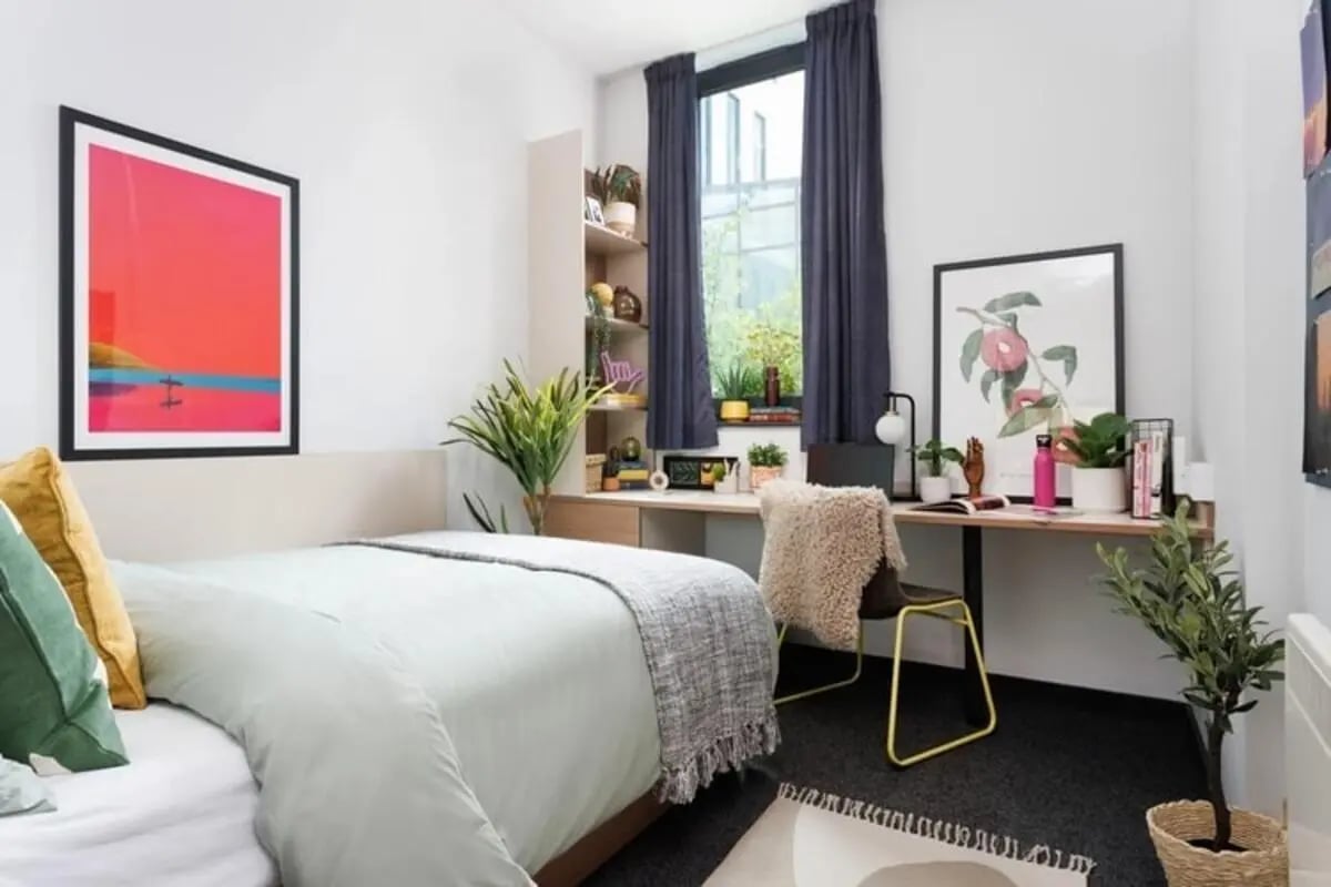 Bed desk plant and window bedroom at Wellington St Plaza in Newcastle Upon Tyne Student Accommodation
