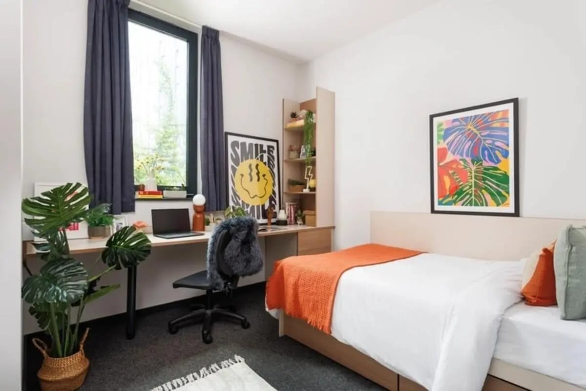 Desk bed plants artwork bedroom at Wellington St Plaza in Newcastle Upon Tyne Student Accommodation