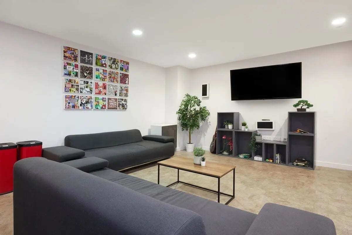 Sofa artwork tv shelving unit plant and coffee table living room at Collegiate Park House in Southampton Student Accommodation