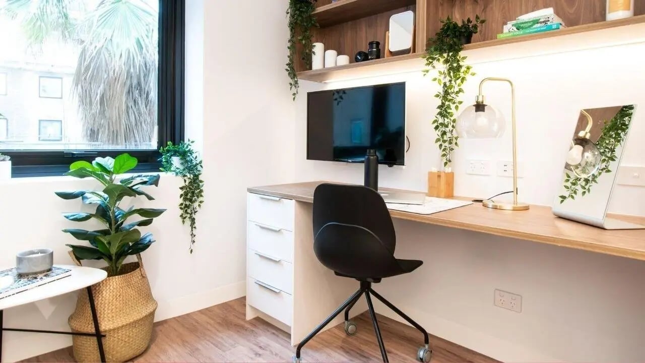 Desk with plants TV and chair study area at UniLodge Park Avenue in Melbourne Student Accommodation