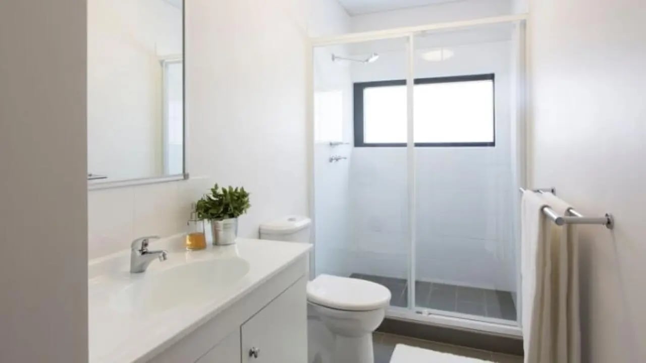 Sink toilet shower with plants and towels bathroom at Western Sydney University Campbelltown Village in Sydney Student Accommodation