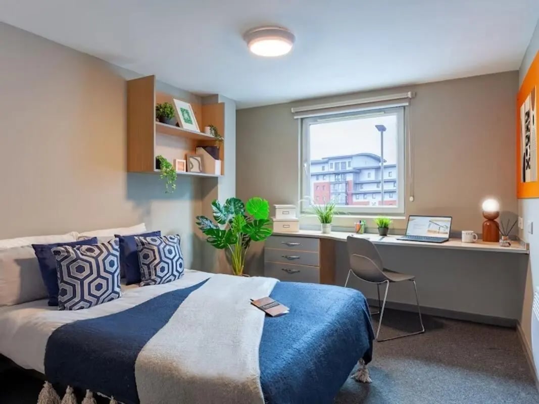 Bed desk shelves plant and window bedroom at Filbert Village in Leicester Student Accommodation