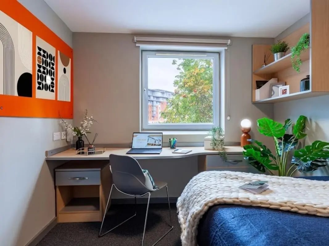Desk laptop chair bed and plants bedroom at Filbert Village in Leicester Student Accommodation