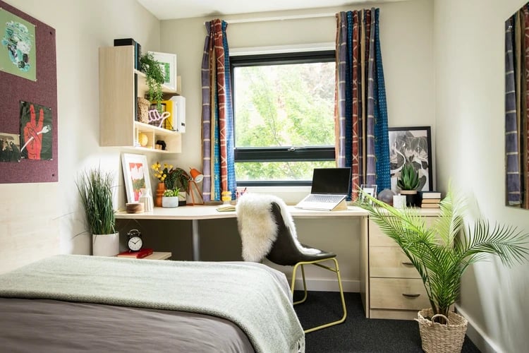Desk chair laptop plants and bed Bedroom at Rahere Court in London Student Accommodation