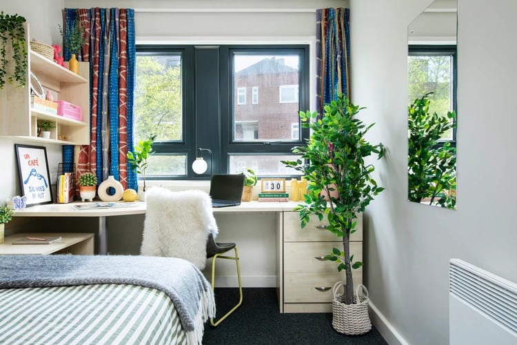 Bed desk chair plants and window bedroom at Rahere Court in London Student Accommodation