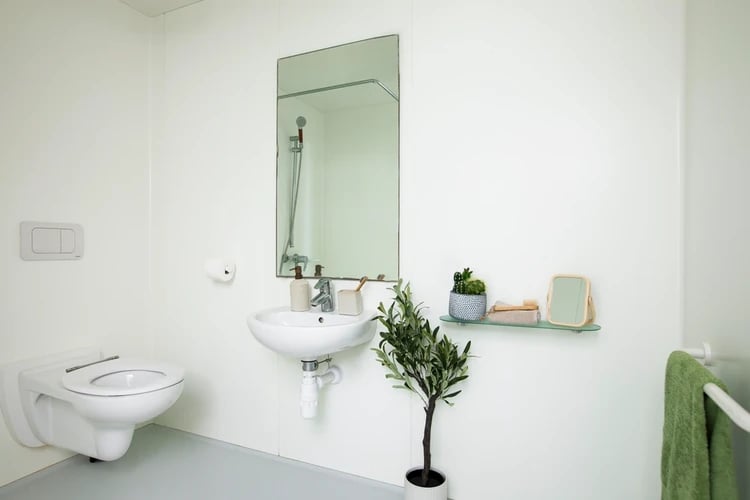 Toilet sink mirror plant and towels bathroom at Wellington Lodge in London Student Accommodation