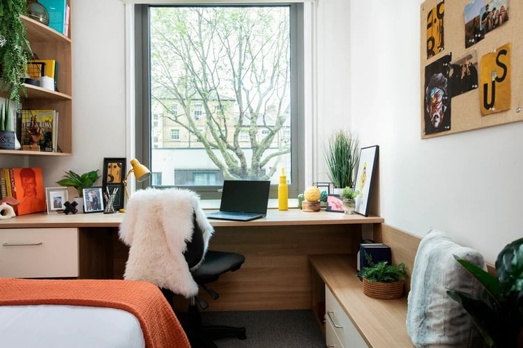 Desk with laptop chair photos and plant study area at Wellington Lodge in London Student Accommodation