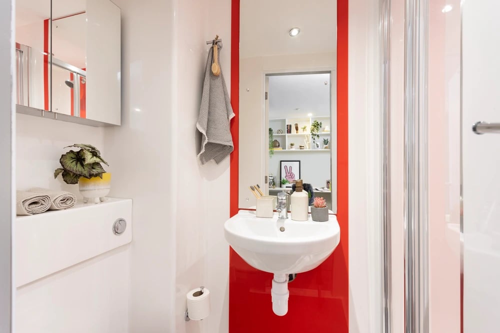 Sink towels plant shower cabinet toilet roll bathroom at Olympic Way in London Student Accommodation