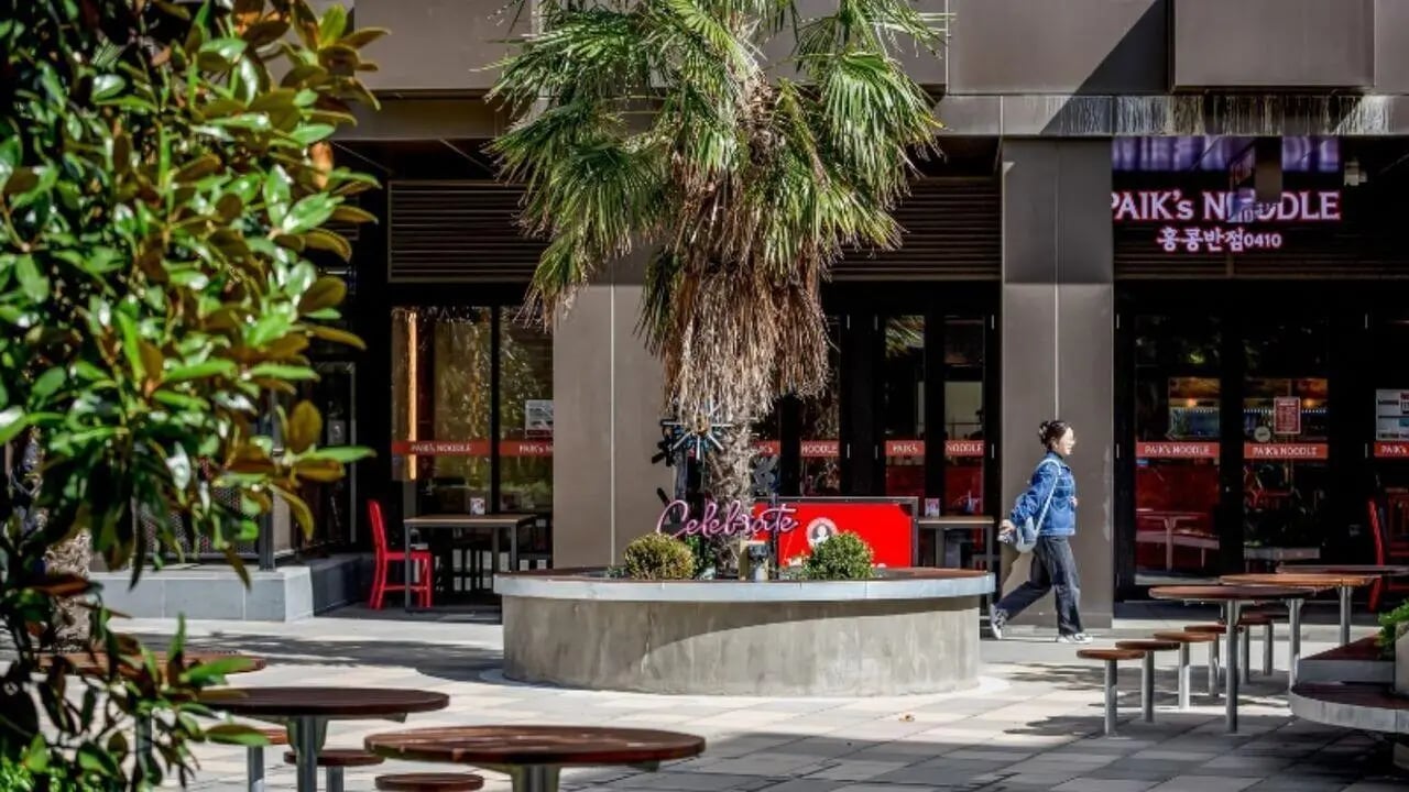 Courtyard with tables a palm tree and building exterior at Realm Caulfield in Melbourne Student Accommodation