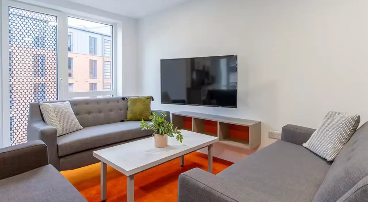 Sofas television coffee table orange rug living room at Dean Street Works in Bristol Student Accommodation