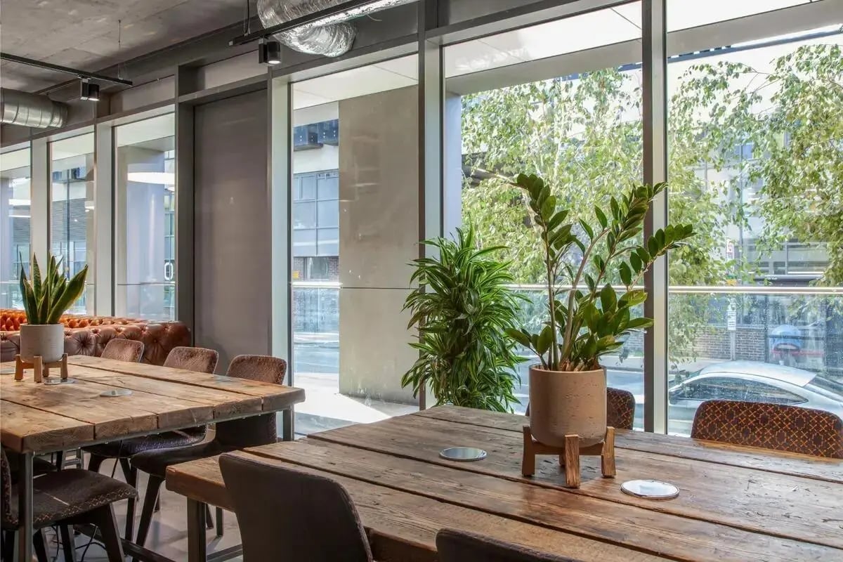 Wooden tables plants leather sofa communal area at Chapter Lewisham in London Student Accommodation
