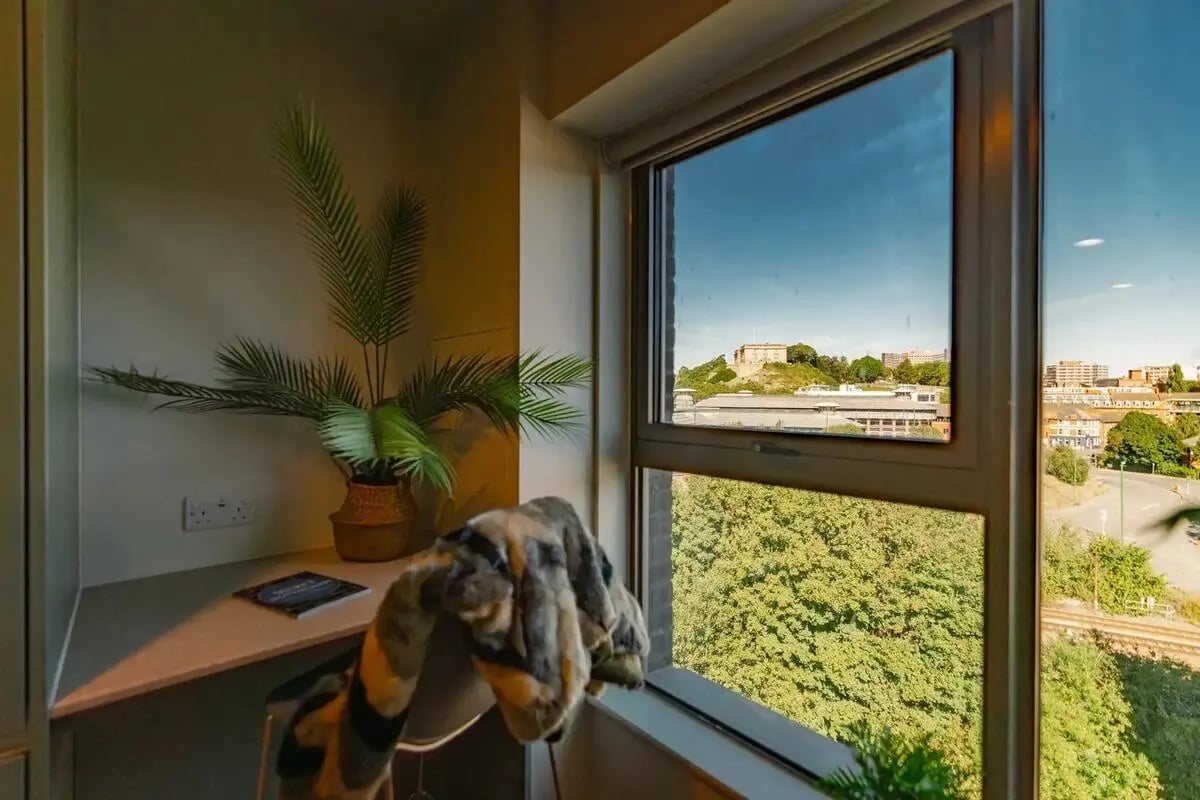 Desk with plant blanket and city view study area at Redgate in Nottingham Student Accommodation