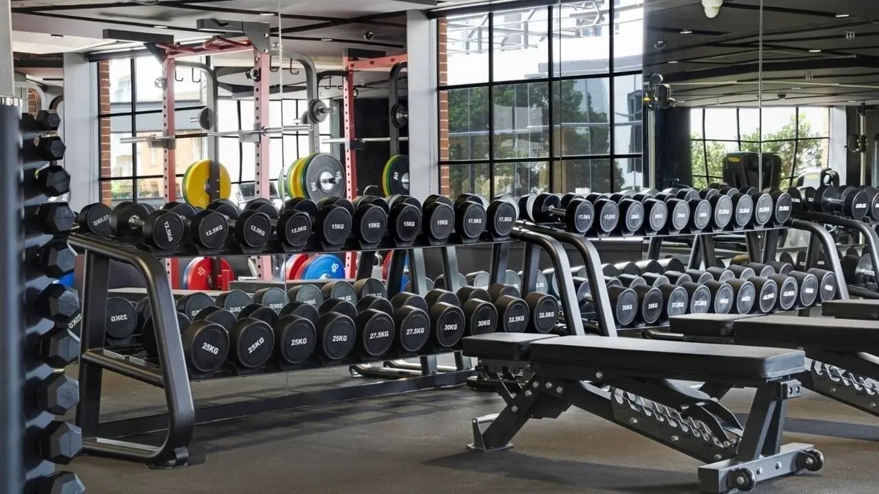 Dumbbells weight plates and benches gym area at UniLodge Auckland Central in Auckland Student Accommodation