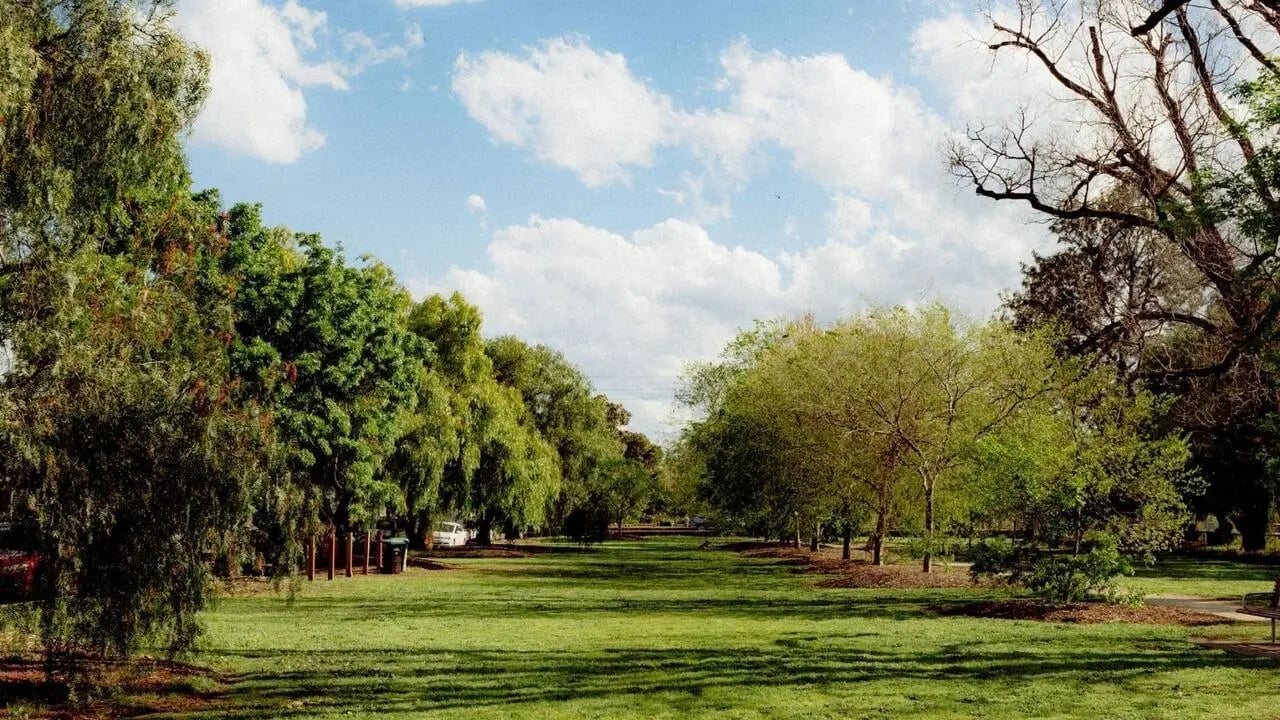 Lush green lawn lined by trees exterior at The Archive - Residential Living in Melbourne Student Accommodation
