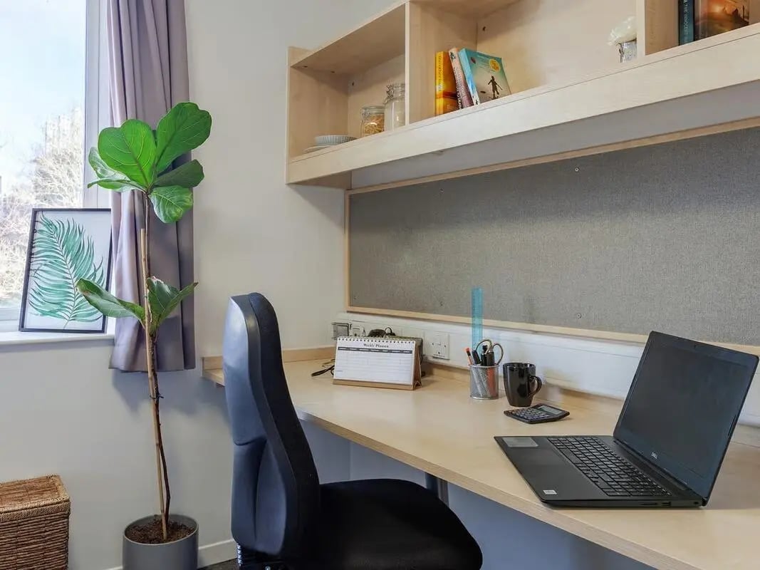 Desk with laptop plant and chair study area at The Green in Bradford Student Accommodation