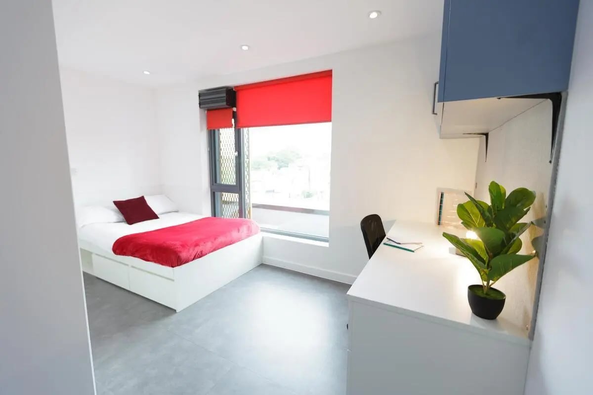 Bed desk and plant Bedroom study area at AXO New Cross in London Student Accommodation