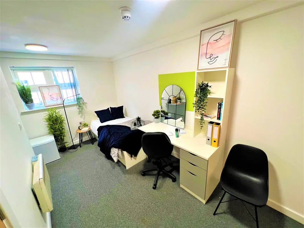 Bed desk mirror plant and chair bedroom at Tudor Studios in Leicester Student Accommodation