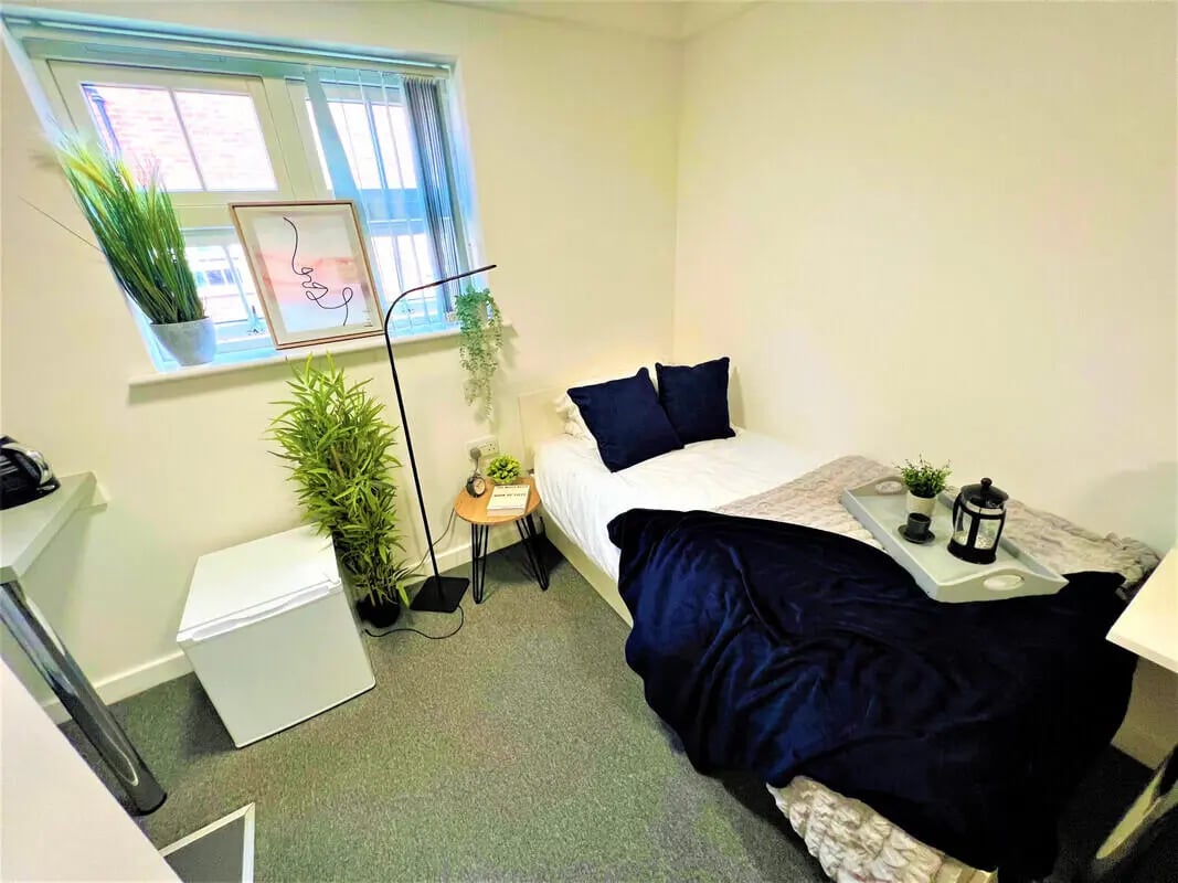 Bed with blue pillows mini fridge and plants bedroom at Tudor Studios in Leicester Student Accommodation