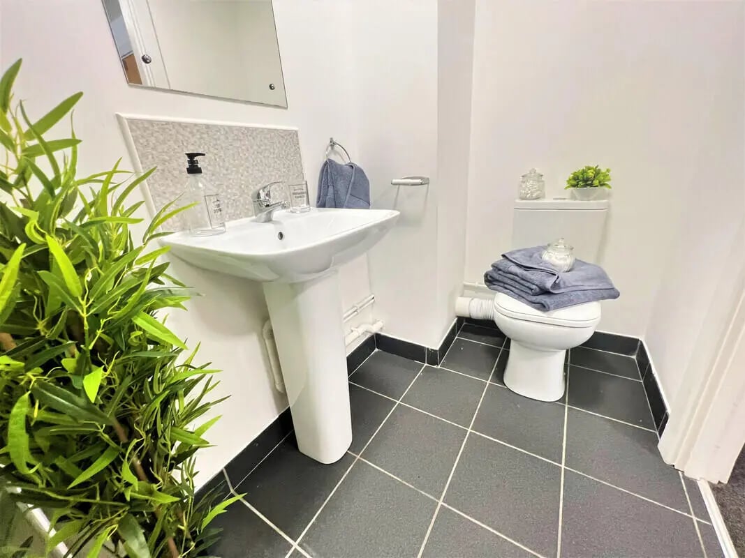 Sink toilet towels plant bathroom at Tudor Studios in Leicester Student Accommodation