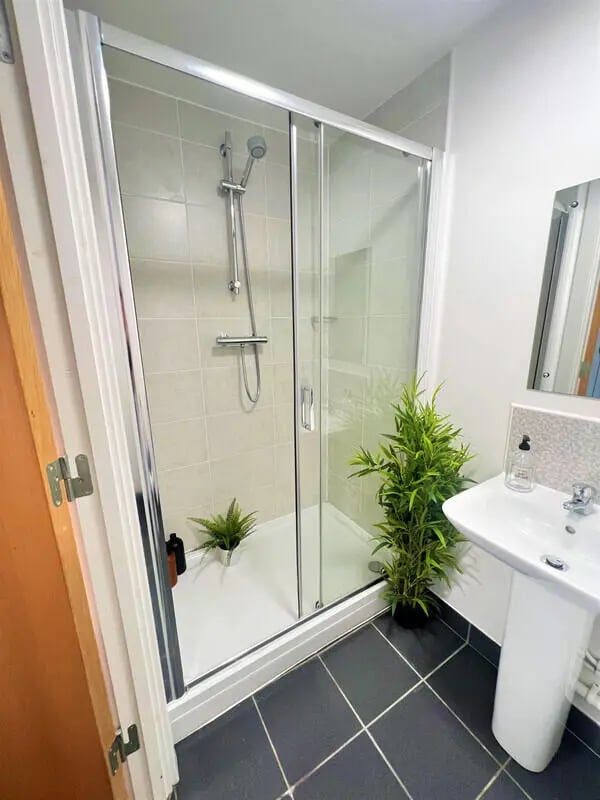 Shower stall sink and plants bathroom at Tudor Studios in Leicester Student Accommodation