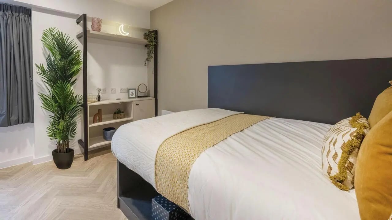 Bed with plant and shelving unit bedroom at Arcadian in Nottingham Student Accommodation