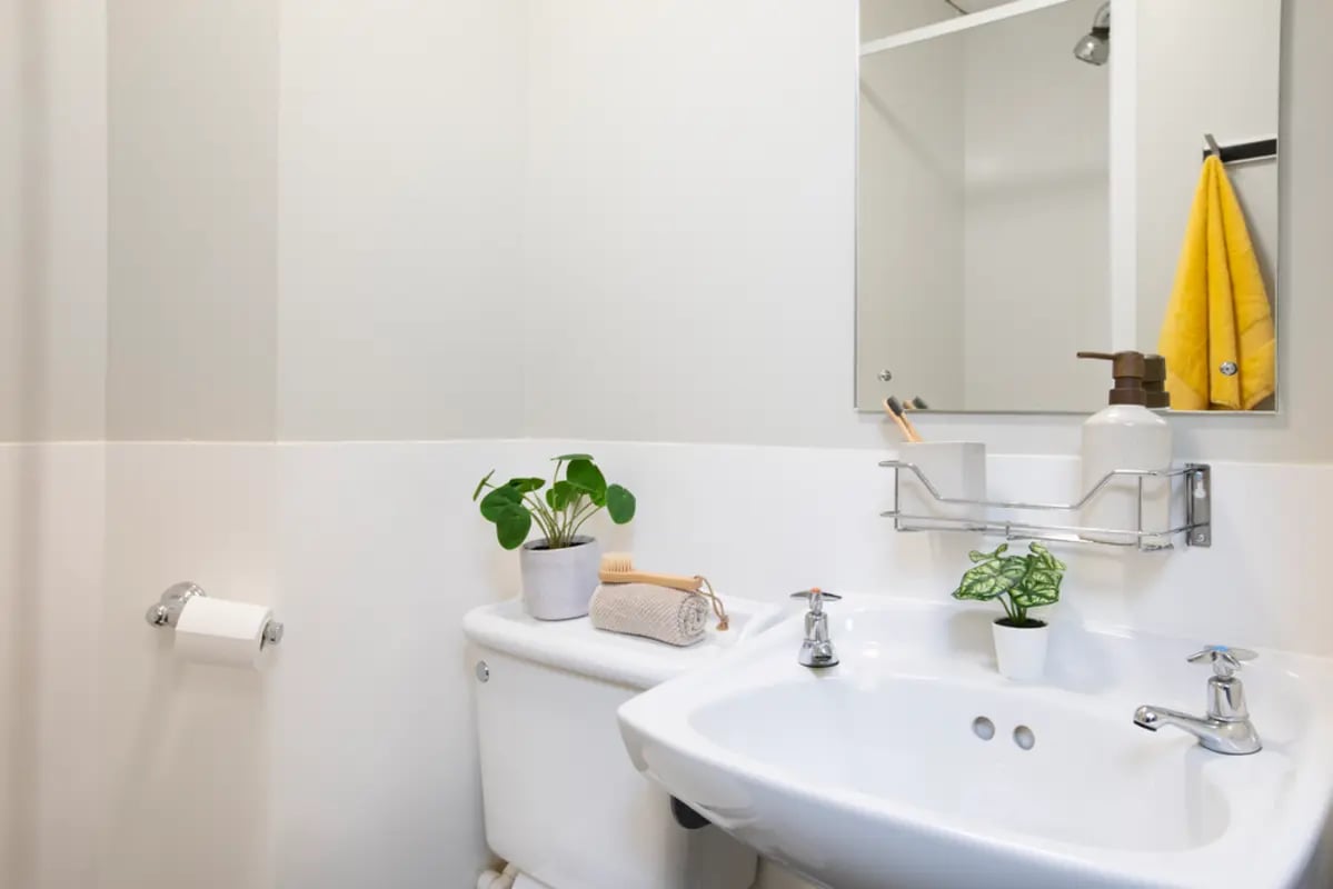 Toilet sink soap dispenser plants and towel bathroom at Newarke Point in Leicester Student Accommodation