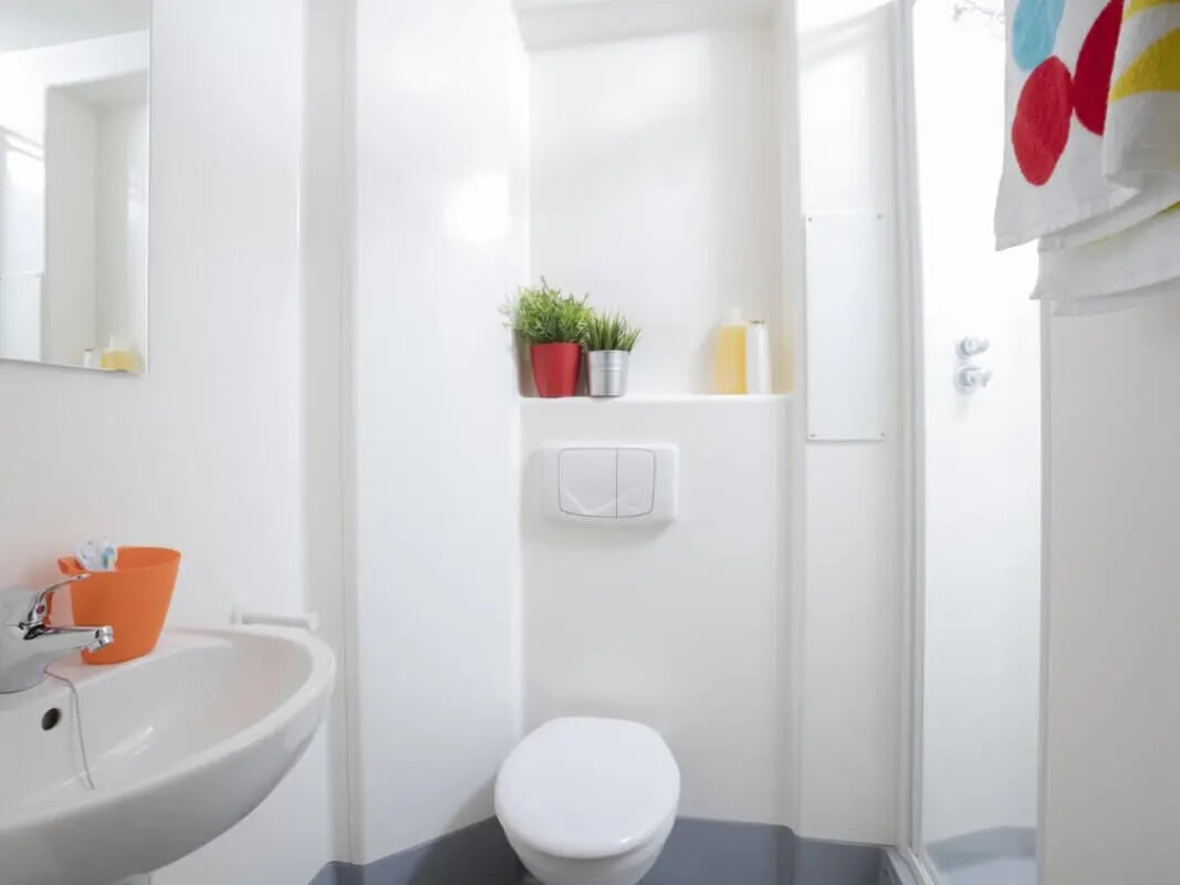 Toilet sink shower plants and mirror bathroom at Charles Morton Court in London Student Accommodation