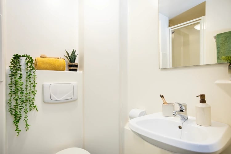 Sink, toilet, mirror, plants, towel, soap, bathroom at Blackfriars in Glasgow Student Accommodation