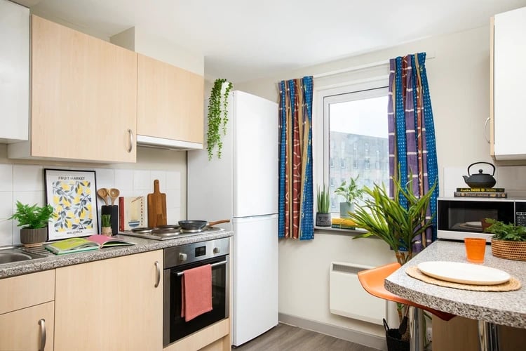 Kitchen with fridge oven microwave and plants kitchen at Blackfriars in Glasgow Student Accommodation