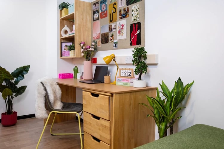 Desk with laptop lamp and plants study area at Ewen Henderson Court in London Student Accommodation