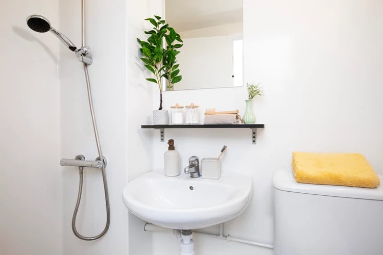 Shower sink mirror shelf with plant and towel bathroom at Ewen Henderson Court in London Student Accommodation